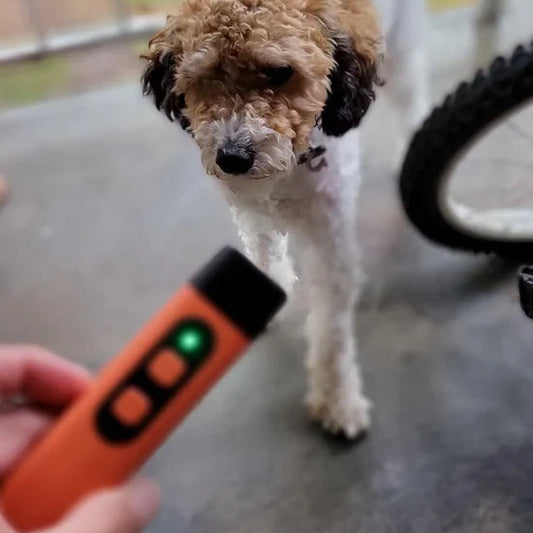Ultrasonic bark inhibitor Gadget